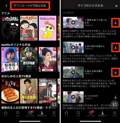Netflix動画をダウンロードする