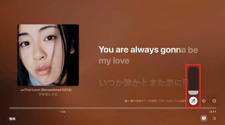 Apple TVでApple Musicを歌う