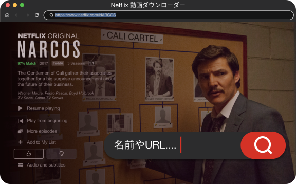 built-in netflix web player